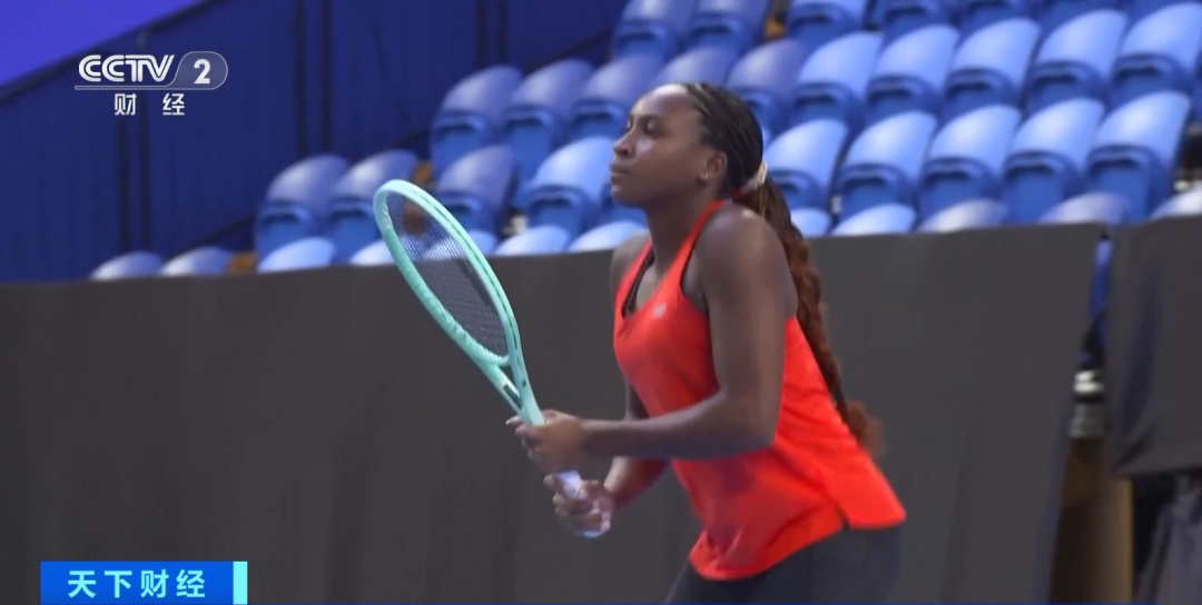 鹰眼挑战的 鹰眼挑战的