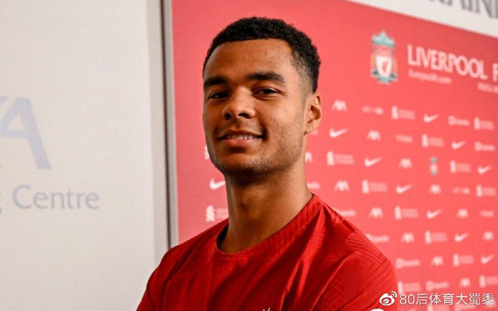 未来展望 未来展望