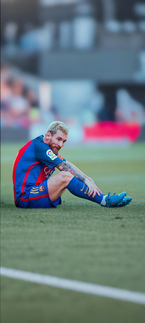 这就是高等 这就是高等